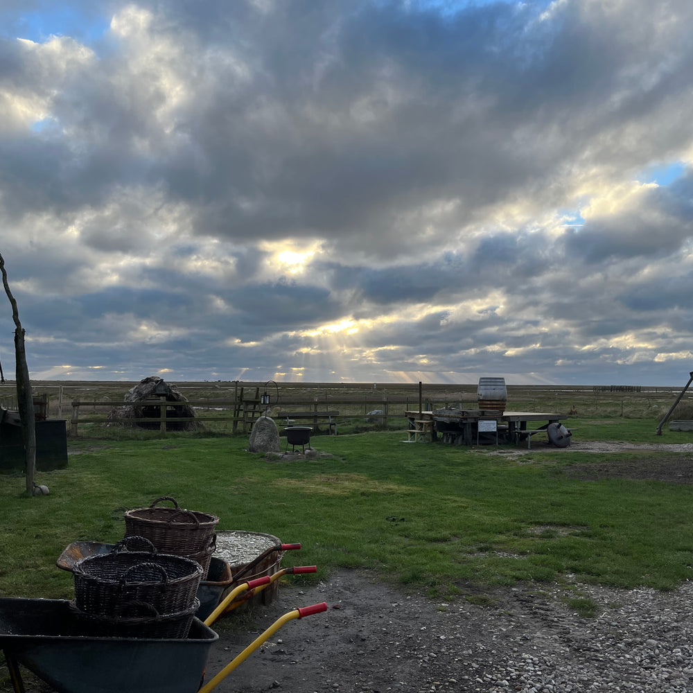 Læsø Salt